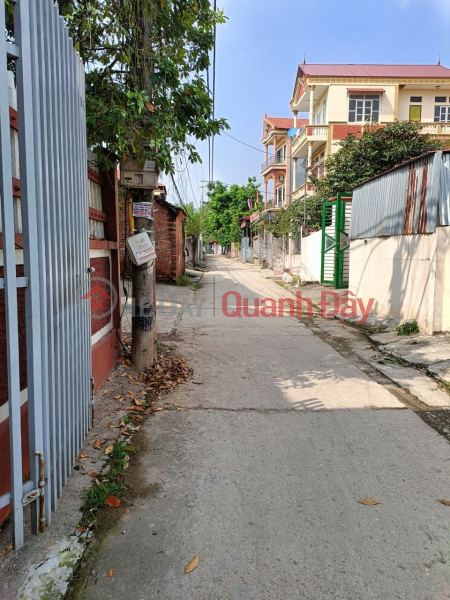 ₫ 3.85 Billion BEAUTIFUL HOUSE - GOOD PRICE - OWNER For Sale Main House Small Business At Thanh Lam, Me Linh District, Hanoi