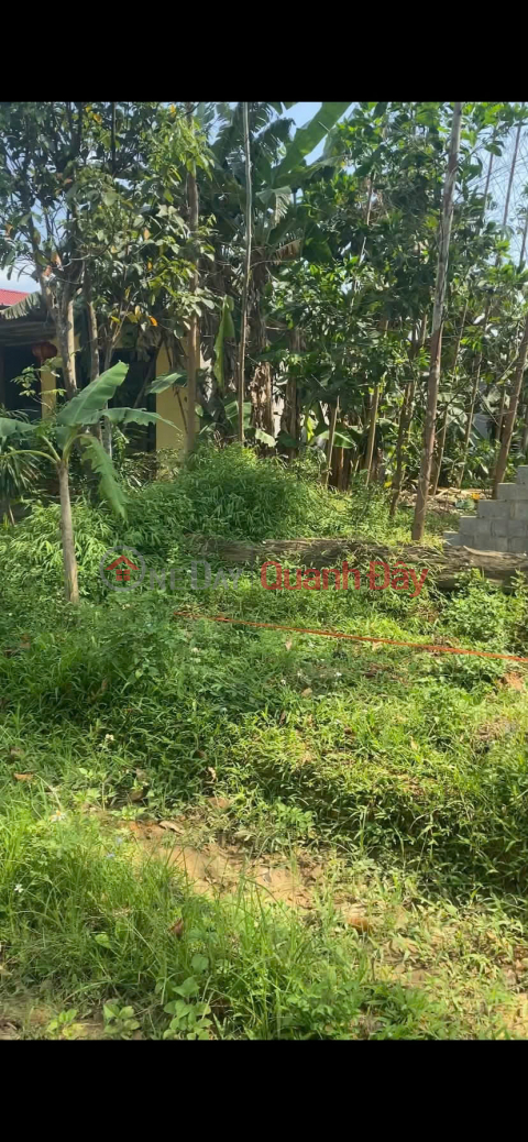 Owner selling land in Cay Thi, Nam Hoa, Thai Nguyen - 710m2 - 15.5m frontage - Can be divided into 3 plots, only 1.x billion VND. _0