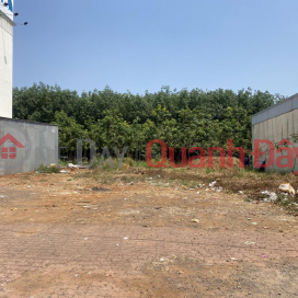 Two adjacent plots of land for sale, 16x22 meters each, with commercial frontage, priced at 2.47 billion VND, 10 minutes from Vincom Bien Hoa. _0