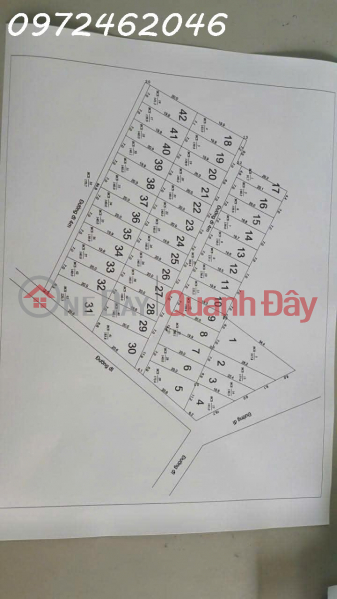 Need money, I want to quickly sell 3 plots of land 34-35-36 (7mx20m) Binh Thanh Commune, Binh Thuan Sales Listings