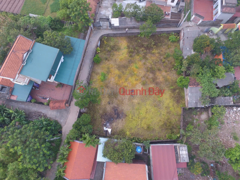 Property Search Vietnam | OneDay | Nhà ở, Niêm yết bán Chính Chủ Bán 768m2 Tại Xóm 1, Động Xá, Xã Lương Bằng, Huyện Kim Động, Tỉnh Hưng Yên.