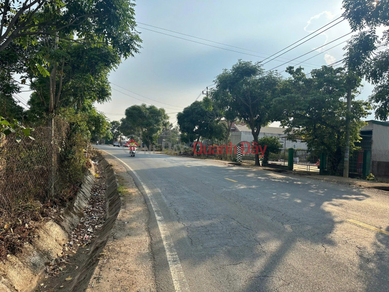 Property Search Vietnam | OneDay | Nhà ở | Niêm yết bán | Bán 29,5 x 80m đất mặt tiền quốc lộ 27 giá cực tốt 8,8 tỷ đức trọng