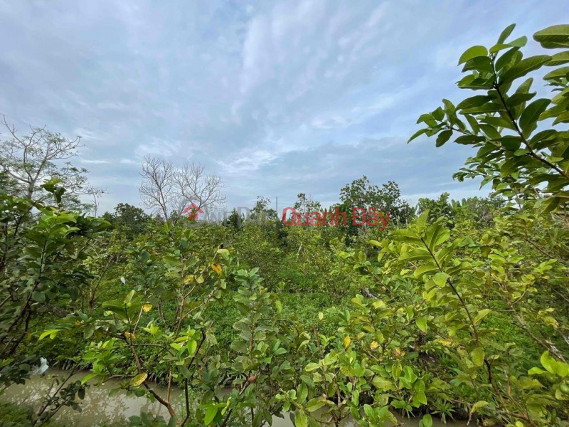 OWNER QUICK SELLING LOT OF LAND Beautiful Location In Cai Lay Town, Tien Giang Province Sales Listings