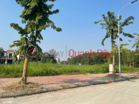 LAND FOR SALE AT AUCTION OF BEO CHUONG MY 107.5M2 _0