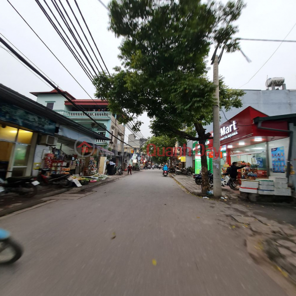 Property Search Vietnam | OneDay | Residential, Sales Listings | 4 billion x 60m2 Cuu Viet Residential Area, Trau Quy, Gia Lam, Hanoi.