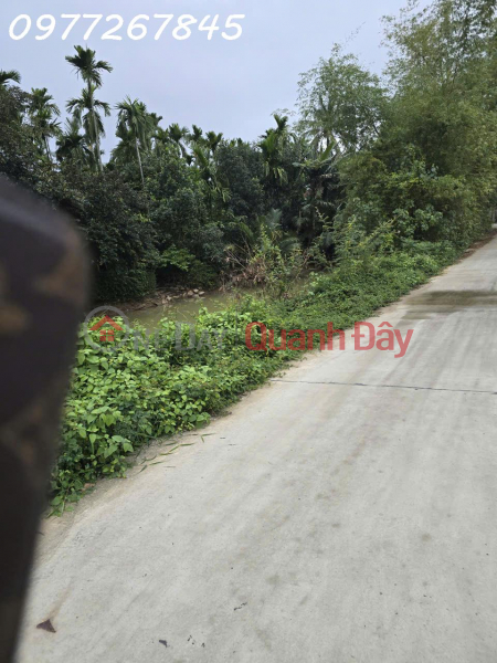 Property Search Vietnam | OneDay | Residential Sales Listings | Land for sale on Tran Nhan Tong street, Cam Thanh ward, opposite De Dong restaurant, area 260m2, 25 million VND\\/m2.