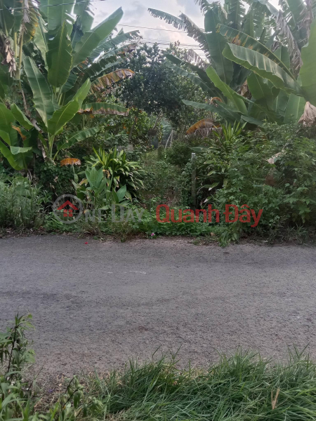 BEAUTIFUL LAND - GOOD PRICE - Urgent Sale Land Lot Beautiful Front In Tan Phu Commune, Chau Thanh District, Dong Thap Sales Listings