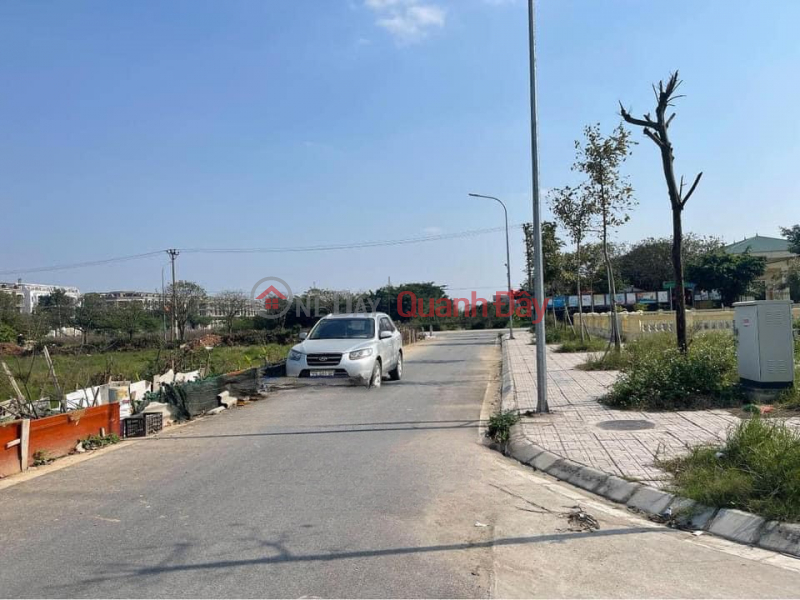 Property Search Vietnam | OneDay | Residential, Sales Listings, Land for sale at Hau Oai auction, Uy No Dong Anh commune, top business street surface
