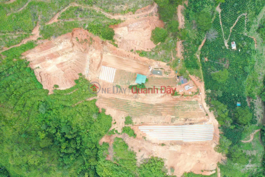  Làm ơn chọn Nhà ở | Niêm yết bán đ 32 tỷ