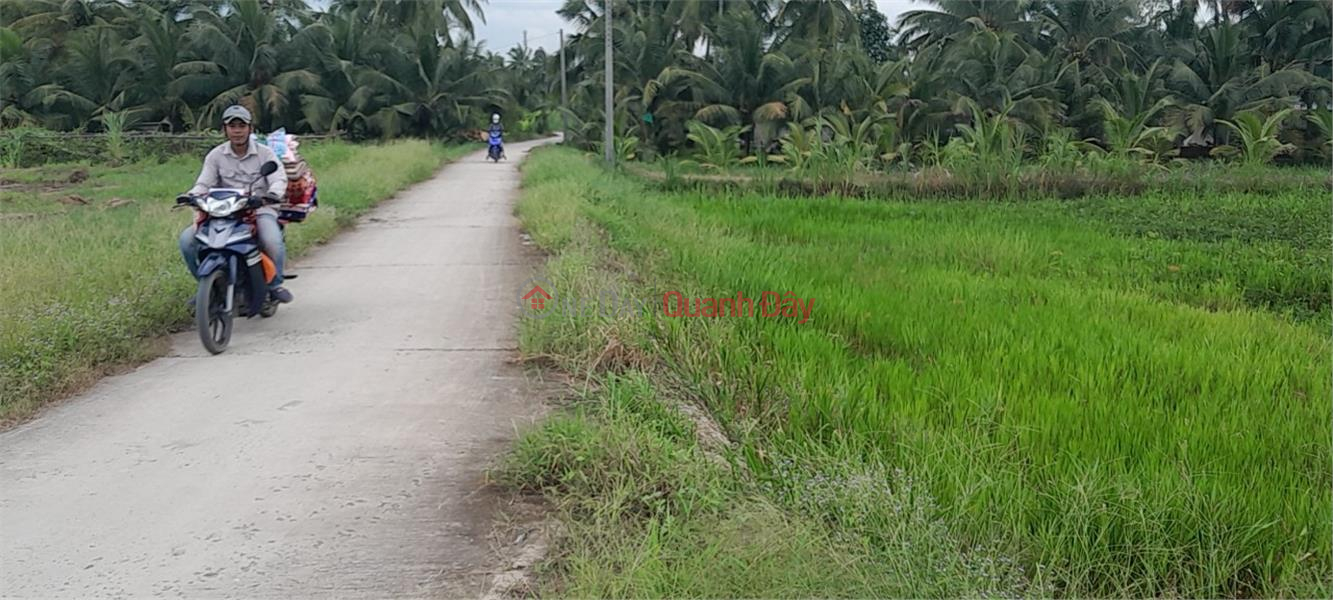 ₫ 5 tỷ/ tháng Cần Bán Nhanh Lô Đất Tiềm năng- Giá Tốt tại huyện Tam Bình, tỉnh Vĩnh Long