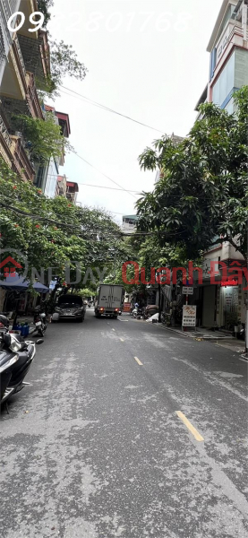 Ngo Thi Nham Street, Avoid Cars, Peak Business, 56.8M x5T, ADDITIONAL 19 BILLION, Vietnam | Sales, đ 1.9 Billion