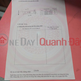 HOT HOT – CHEAP LAND – OWNER NEEDS TO SELL A PLOT OF LAND in Dinh Tan Hamlet, Vinh Thanh Town, Vinh Thanh District, Binh Dinh Province _0