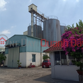 Selling 2.2ha of land for warehouse and factory for 50 years at road 5, Binh Giang District, Hai Duong Province _0