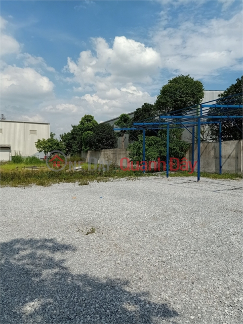 Selling 2.6ha of warehouse land for 50 years factory in Hoan Long commune, Yen My district, Hung Yen province _0