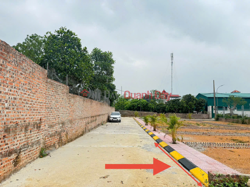 Property Search Vietnam | OneDay | Residential, Sales Listings Urgent sale of 100m² land in Thai Lai, Minh Tri, Soc Son. Paved road, sidewalk, perfectly square.