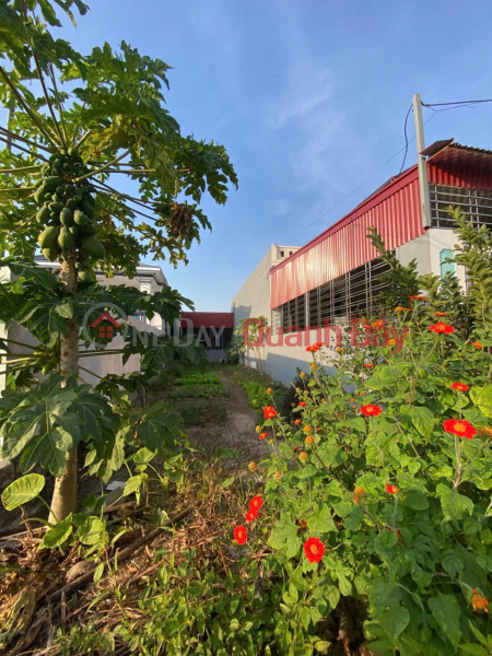  Làm ơn chọn Nhà ở, Niêm yết bán đ 2,53 tỷ