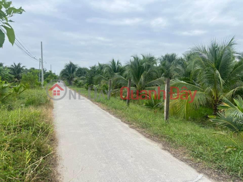 OWNER Sells 8.8 Contaminated Coconut Land, Cheap Price In An Hoa, Chau Thanh, Ben Tre _0