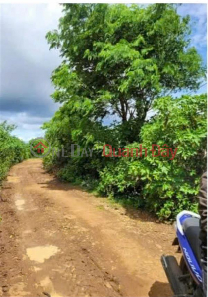 PRICE REDUCED FROM 2.6 BILLION TO SELLING 1 billion 850 million - 2 sao of garden land, group 32, Lien Nghia - Duc Trong - Lam Dong Vietnam Sales, đ 185 Million