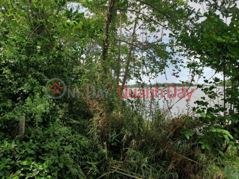 BEAUTIFUL LAND - CASH - For Sale Quickly In Vinh Truong Commune, An Phu, An Giang. _0