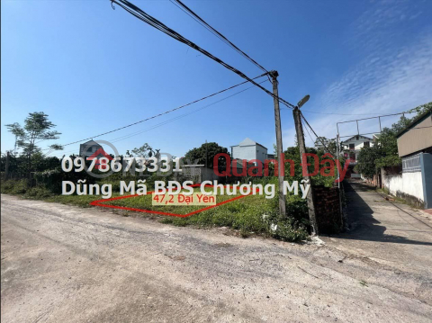 PRICE ONLY 1TY450 TO OWN LAND LOT OF 47.7M IN DAI YEN-CHUONG MY _0