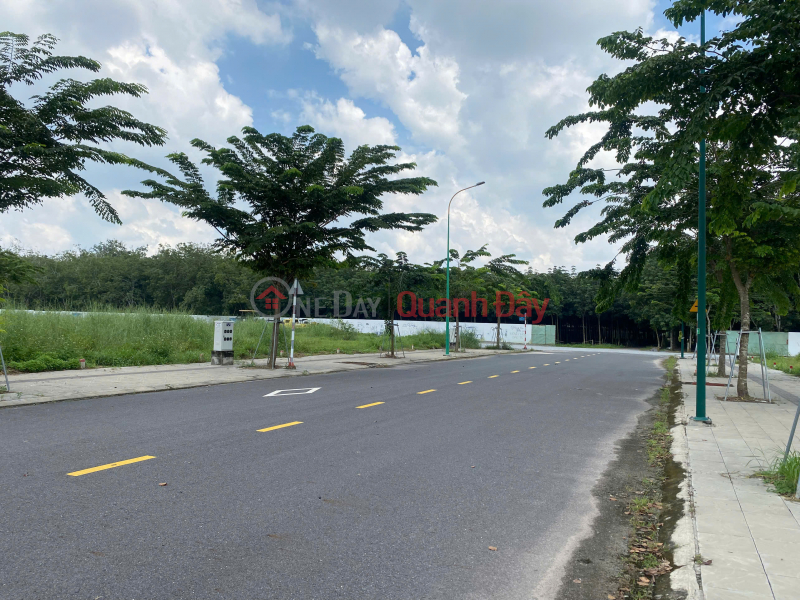 Đất Nền Richland Chỉ Từ 1,3 Tỷ – Sổ Hồng Riêng, Xây Dựng Theo Mẫu Châu Âu Niêm yết bán