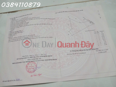 6HA CÓ CAO SU TRỒNG SẴN GIÁ 2 TỶ (843-2631936039)_0