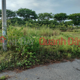 ĐẤT ĐẸP KHU TĐC TÂN TRÀ, ĐÀ NẴNG – GIÁ CHỈ 3,95 TỶ _0