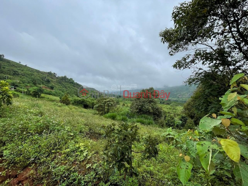 Land for sale 2 MT 100m Loc Tan, View Ho Ngoc Right Administration Center, Highway Intersection | Vietnam, Sales | đ 13.94 Billion