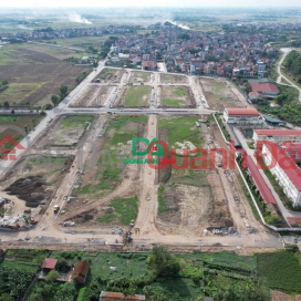 Land for sale at auction in Thuy Lam Dong Anh on business street _0
