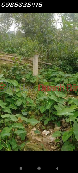 đ 4.1 Billion | Need money to quickly sell a plot of land over 500m2 used in Ba Trai Commune, Ba Vi, Hanoi, investment price