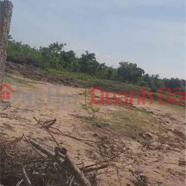 BEAUTIFUL LAND - GOOD PRICE - FOR SALE LOT OF LAND Beautiful Location In Phuoc Thai Commune, Ninh Phuoc District, Ninh Thuan _0