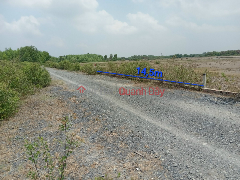 PRIME LAND – GREAT PRICE – OWNER URGENTLY SELLING LAND in Phuoc Khanh Commune, Nhon Trach District, Dong Nai Province, Vietnam | Sales đ 4.5 Billion