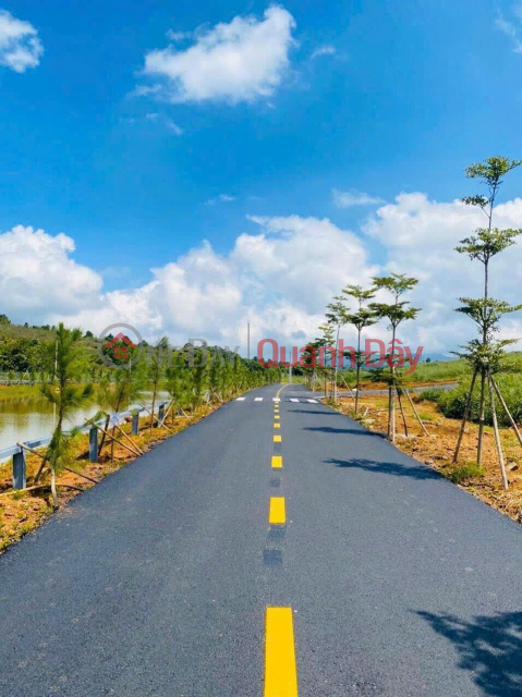 BEAUTIFUL LAND - GOOD PRICE - QUICK SALE OF LAND LOT IN Loc Tan Commune, Bao Lam District, Lam Dong Province _0