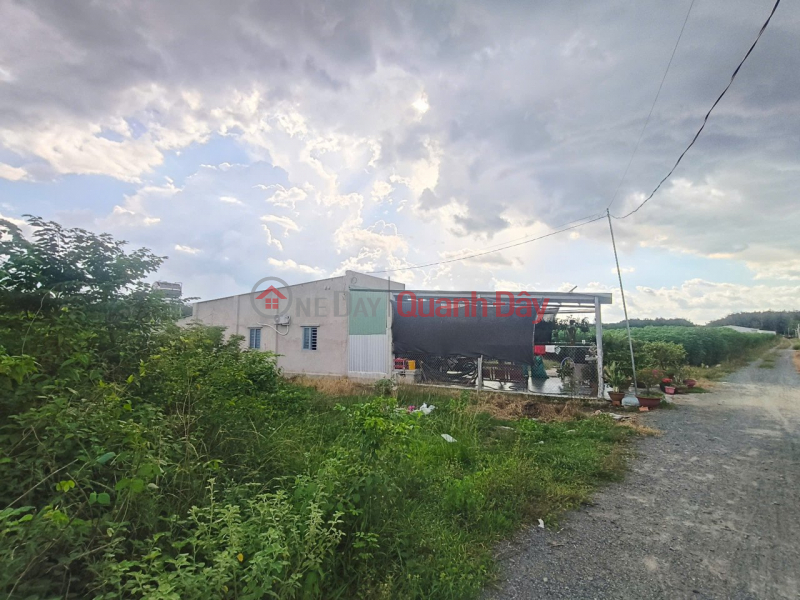 Property Search Vietnam | OneDay | Nhà ở, Niêm yết bán Đất Vuông HXT 125m2 (55m2 ONT) – Kênh Đông TN
