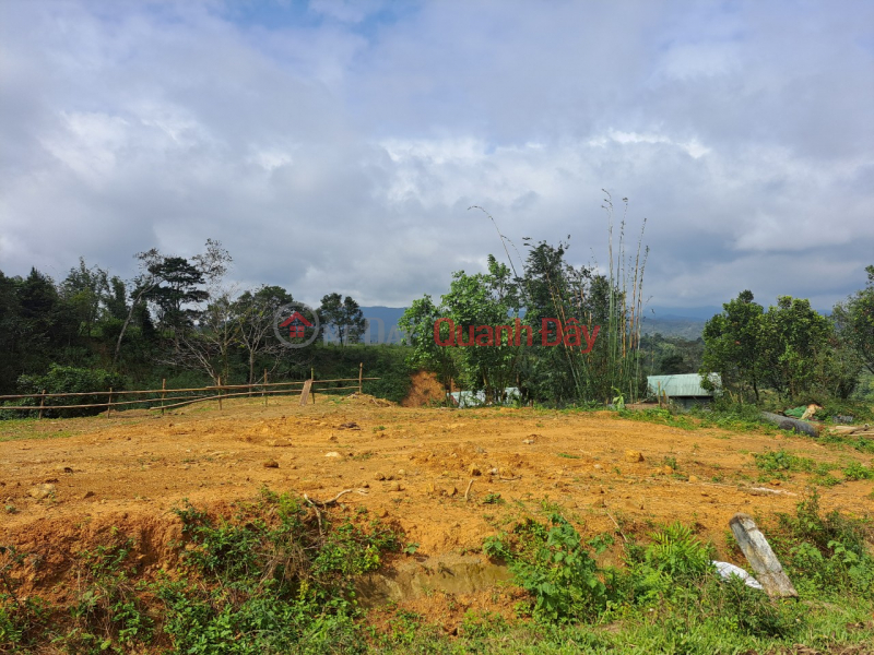 SUPER CHEAP PRICE LAND LOT FOR SALE IN NATIONAL TOURIST AREA - STANDARD PLANNING Sales Listings