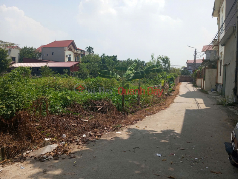 Property Search Vietnam | OneDay | Nhà ở | Niêm yết bán Bán đất Thuận Thành, Bắc Ninh. 65m2 * mt 4,25m * 2,1 tỷ. đường ô tô.