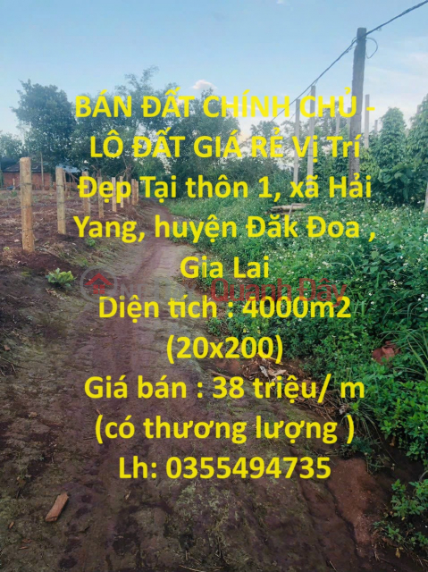 BÁN ĐẤT CHÍNH CHỦ - LÔ ĐẤT GIÁ RẺ Vị Trí Đẹp Tại Huyện Đăk Đoa , Gia Lai _0