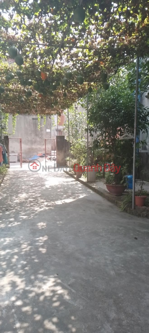 BEAUTIFUL LAND - GOOD PRICE - Owner Quickly Sells Land Lot in Beautiful Location in Ung Hoa, Hanoi _0