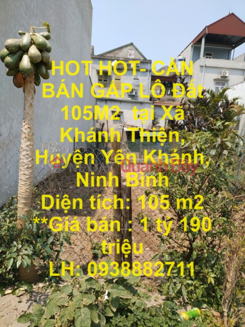 HOT HOT- CẦN BÁN GẤP LÔ Đất 105M2 tại Xã Khánh Thiện, Huyện Yên Khánh, Ninh Bình _0