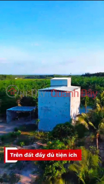 ĐẦU TƯ LÀ SINH LỜI - CHÍNH CHỦ CẦN BÁN ĐẤT VIEW NHÀ YẾN – Xã Trà Tân, Bình Thuận Việt Nam Bán | đ 10 tỷ