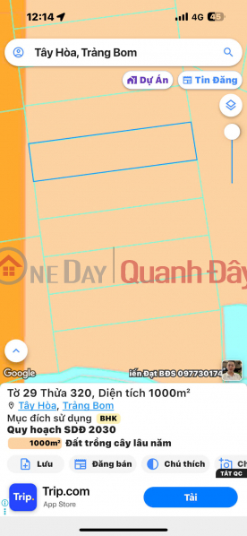 Property Search Vietnam | OneDay | Residential, Sales Listings, Owner Needs to Sell Land Frontage on Ring Road 4 in Tay Hoa Commune, Trang Bom District, Dong Nai Province.