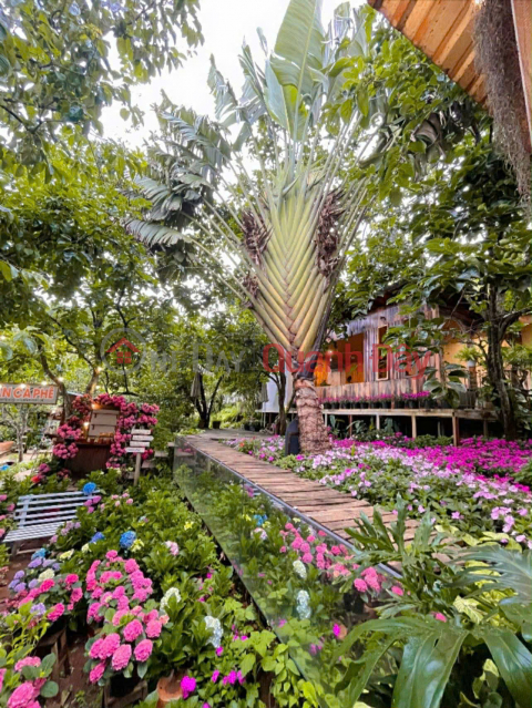 Villa with garden for rent, 700m2, located on Prenn Pass, Da Lat. Rental price: 26 million VND. _0