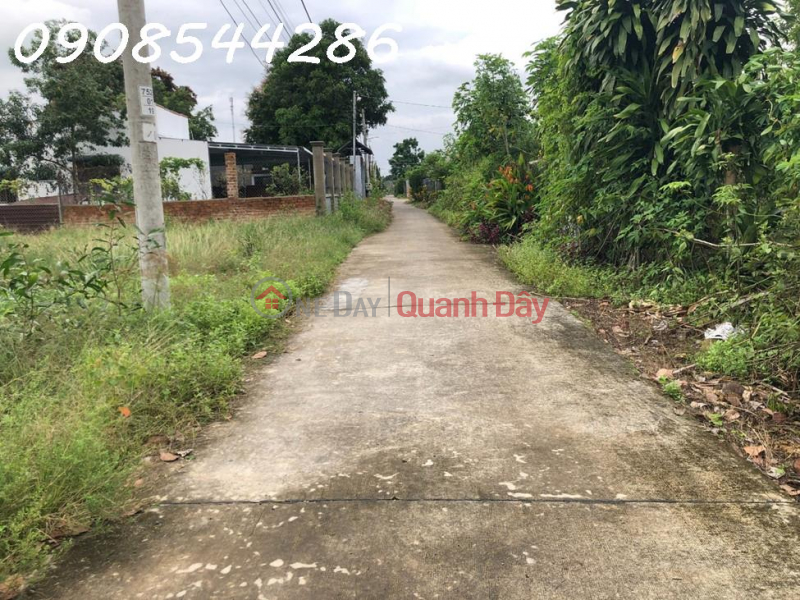 Property Search Vietnam | OneDay | Nhà ở Niêm yết bán | Chính chủ cần bán nền đất full thổ cư tại xã Phú Điền, Tân Phú, Đồng Nai