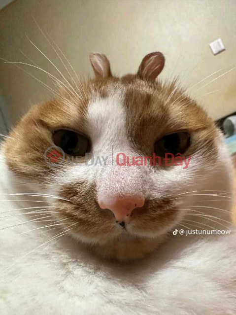 giá trọ (JTFYJ-449453554)_0