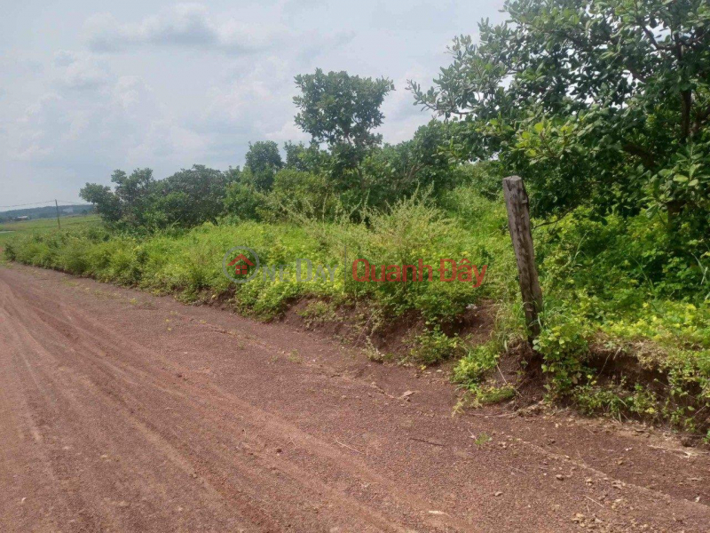 BEAUTIFUL LAND - GOOD PRICE - OWNER Needs to Urgently Sell Beautiful Land Lot with 2 Fronts in Binh Phuoc Province | Vietnam, Sales ₫ 1.8 Billion