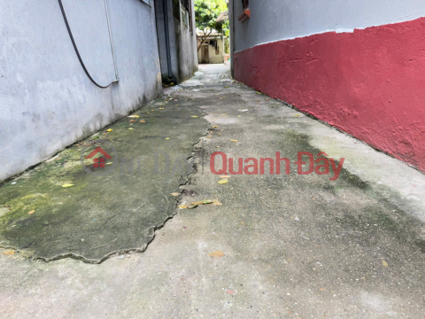 Land for sale in Hau Duong village, Kim Chung, Dong Anh - "Golden" location, near Bac Thang Long Industrial Park. _0
