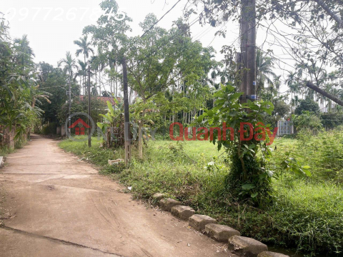 Rare opportunity - Land for sale in Hoi An, area 500m2, selling price 45 million VND\/m2 _0
