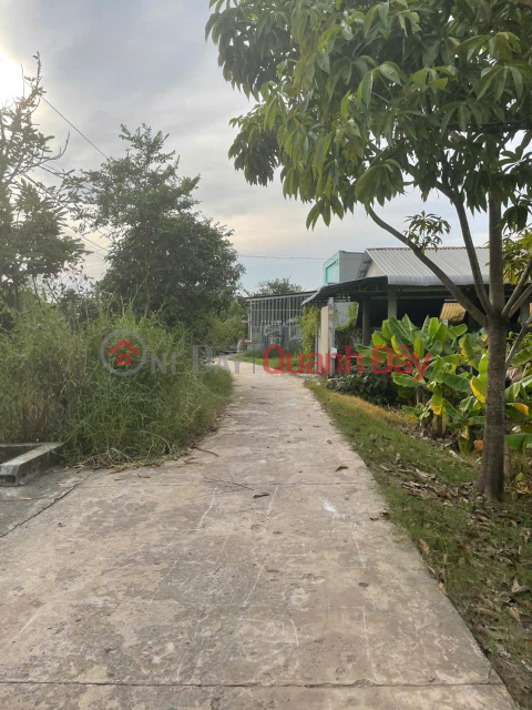 OWNER Needs to Quickly Sell Residential Land in Hau Nghia Town, Duc Hoa, Long An _0