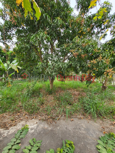 LAND FOR SALE TO BUILD A VILLA IN SUOI TIEN - DIEN KHANH DISTRICT - KHANH HOA PROVINCE., Vietnam Sales, đ 3 Billion