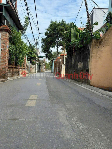 15m ra ô tô 30m ra QL3 đất Tiên Hùng - Đông Anh 88m 5,6 tỷ Niêm yết bán